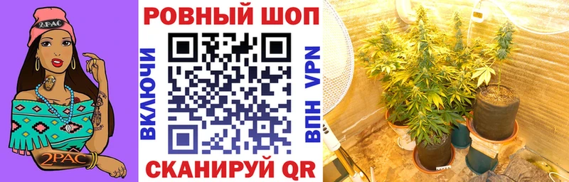 Купить закладку Анива ГАШ Alpha-PVP МЕФ LSD-25 МДМА Кокаин Канабис