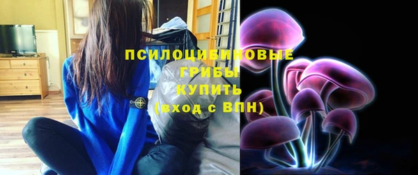 дурь Алексеевка
