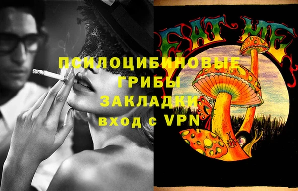 ПСИЛОЦИБИНОВЫЕ ГРИБЫ Алзамай