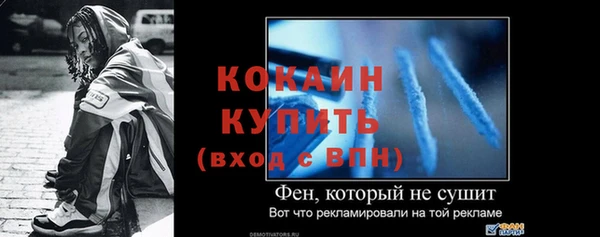 стафф Алексин