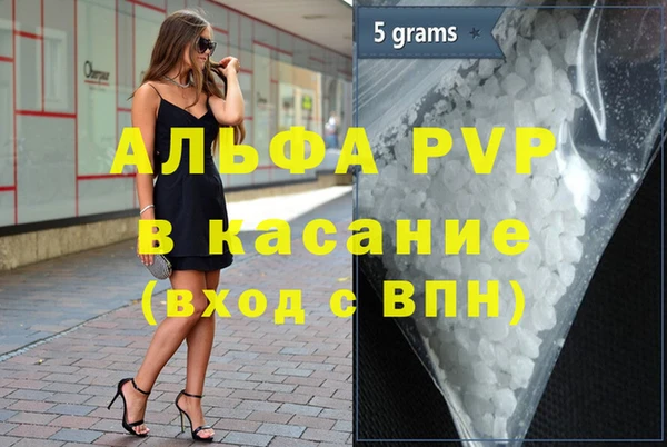 стафф Алексин