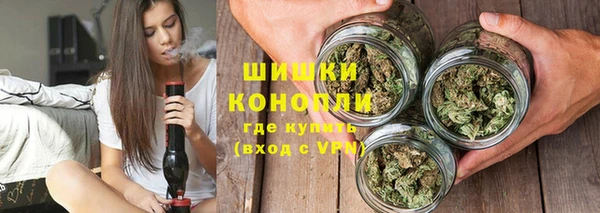 ПСИЛОЦИБИНОВЫЕ ГРИБЫ Алзамай