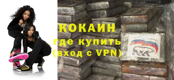 стафф Алексин
